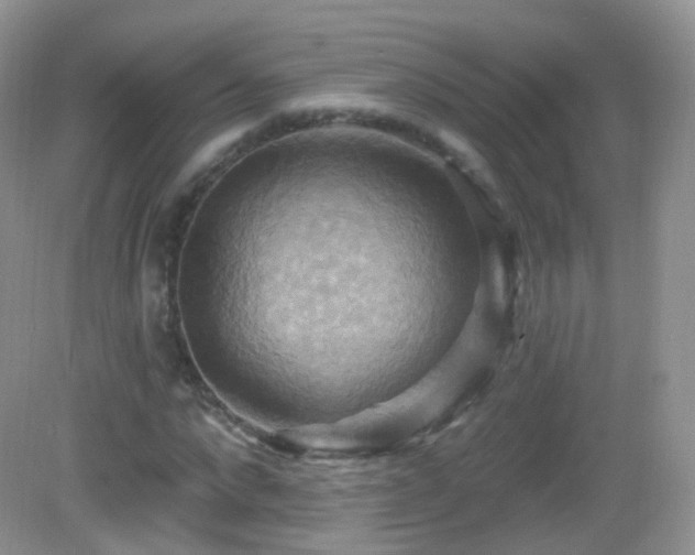 X0000083040872200702021149