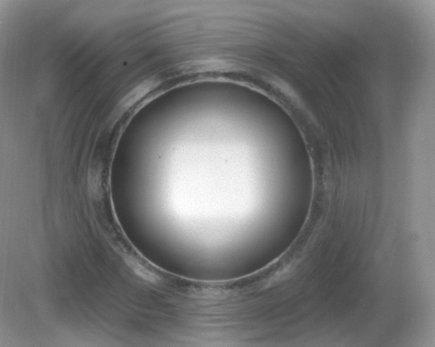 X0000083040873200702021149