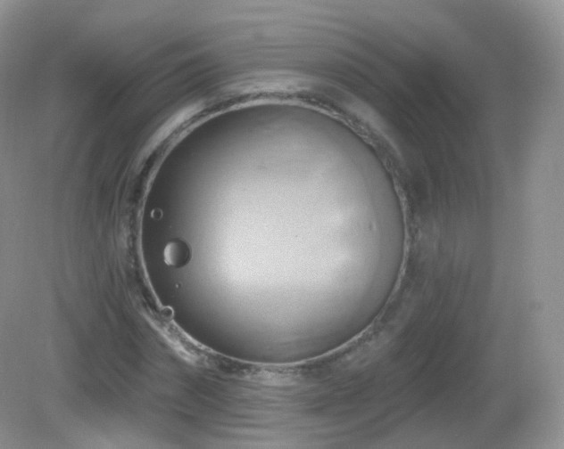 X0000083040874200702021149