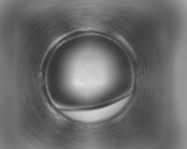 X0000083040876200702021149