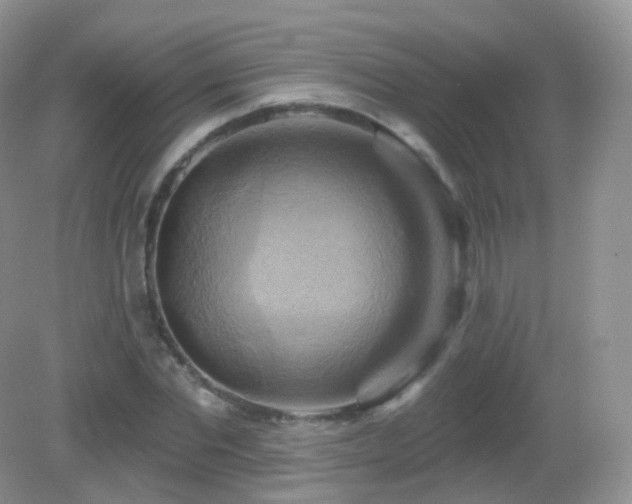 X0000083040877200702021149