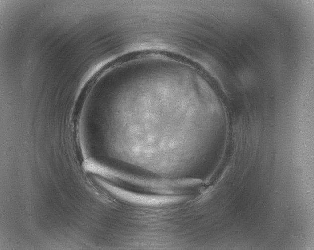 X0000083040879200702021149