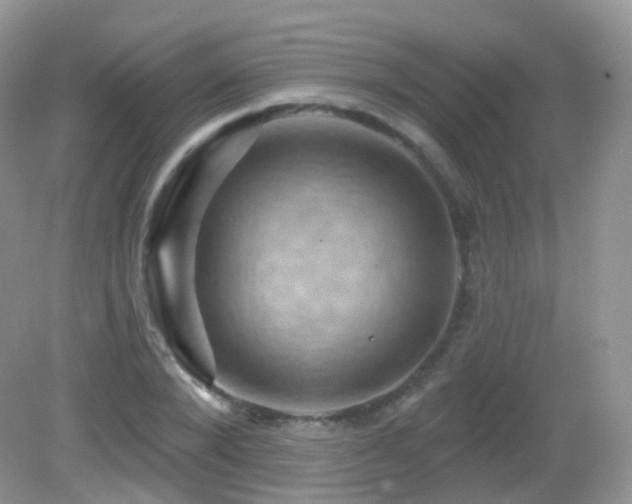 X0000083040880200702021149