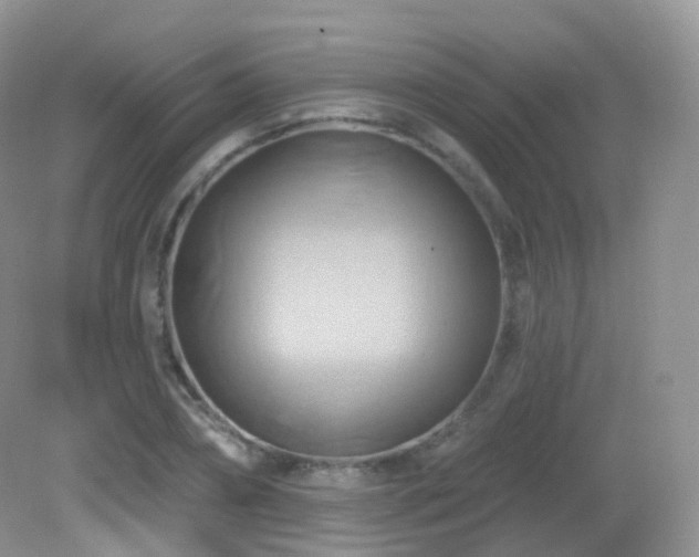 X0000083040882200702021149