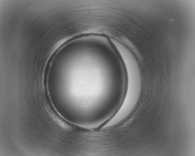 X0000083040884200702021149