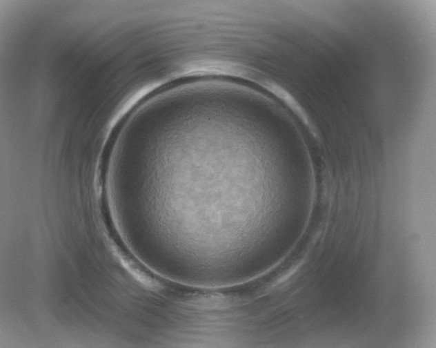 X0000083040885200702021149