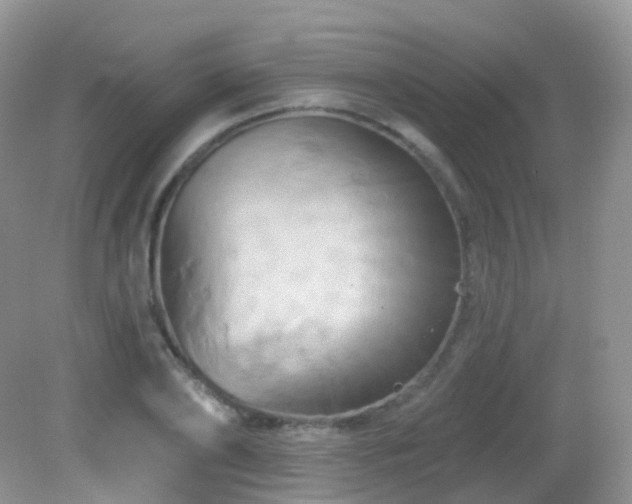 X0000083040886200702021149