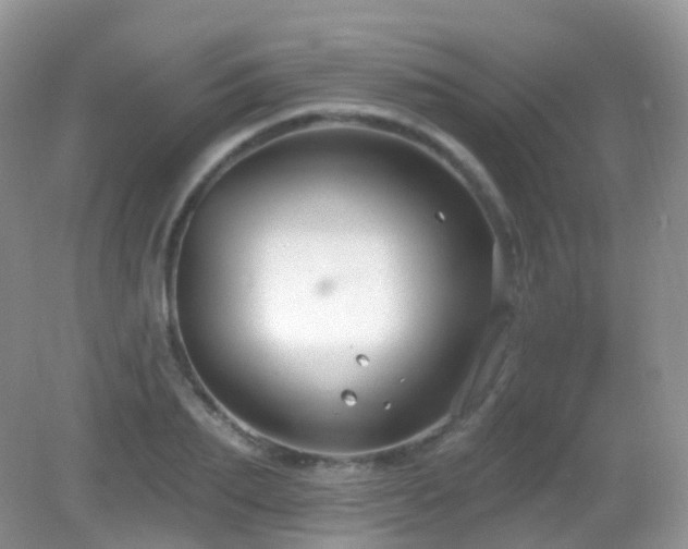 X0000083040887200702021149