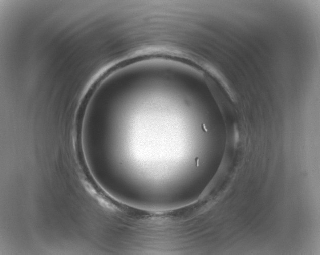 X0000083040888200702021149