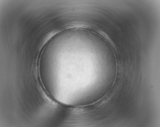 X0000083040890200702021149