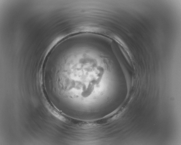 X0000083040891200702021149