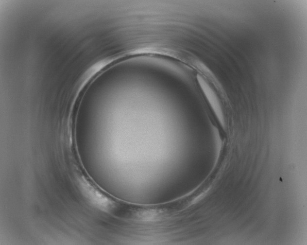 X0000083040892200702021149