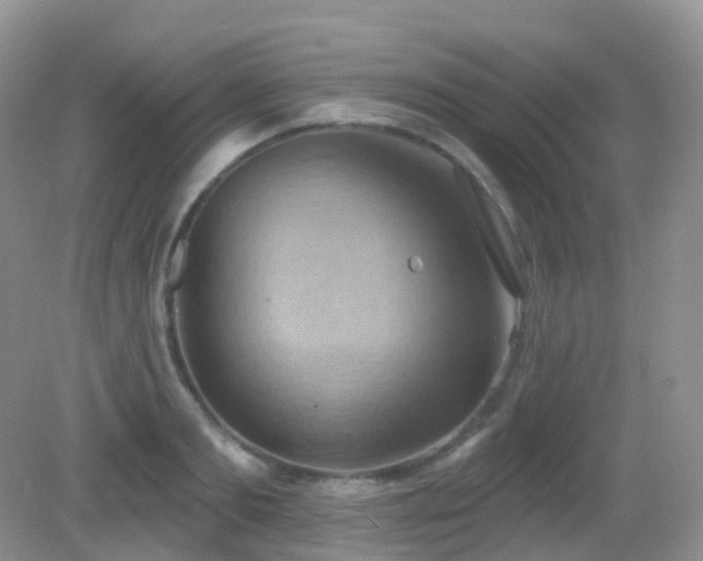 X0000083040893200702021149