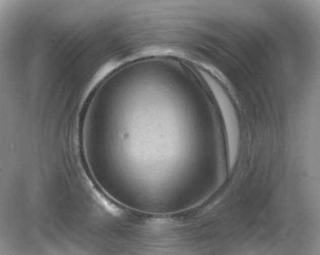 X0000083040894200702021149