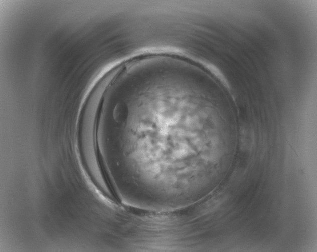 X0000083040895200702021149