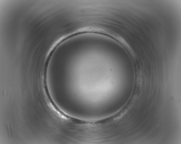 X0000083040896200702021149