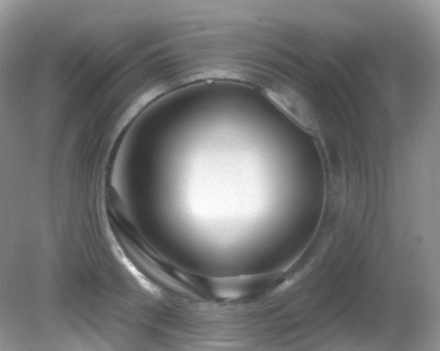 X0000083040898200702021149