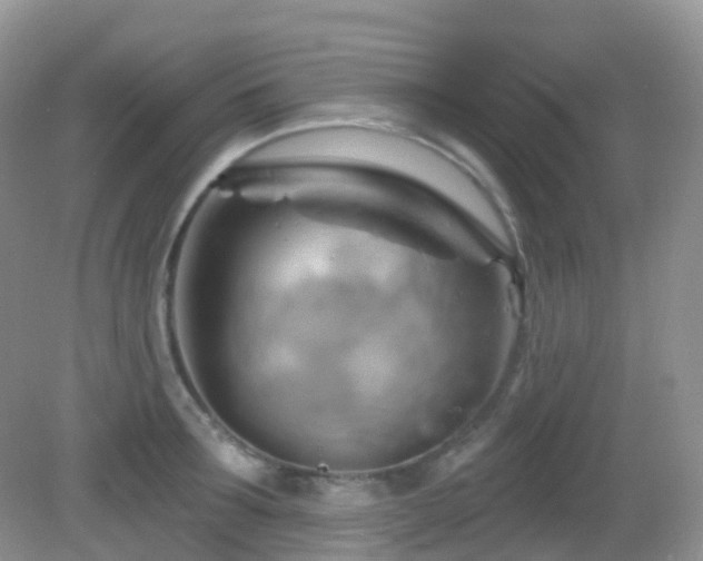 X0000083040899200702021149