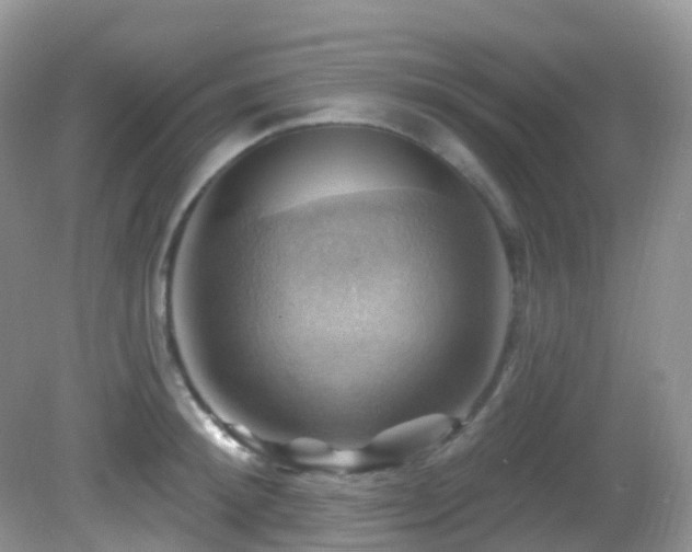 X0000083040900200702021149