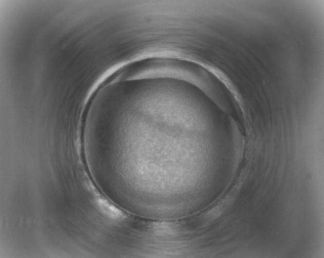 X0000083040904200702021148