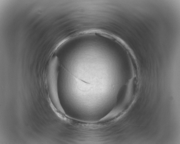 X0000083040905200702021148