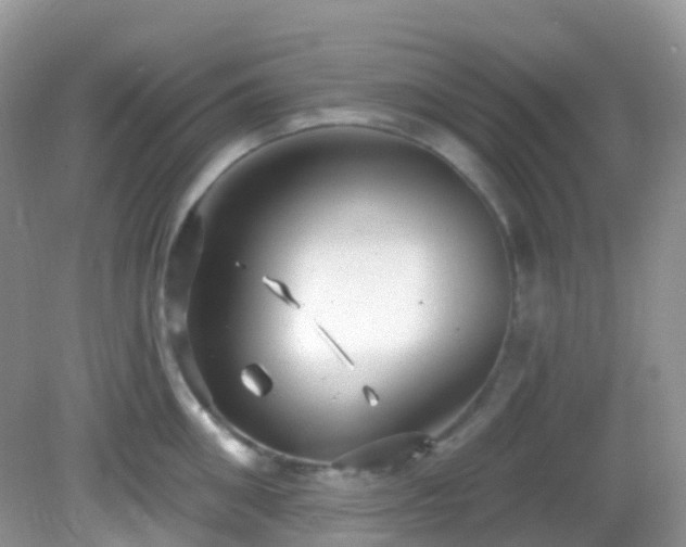 X0000083040906200702021148