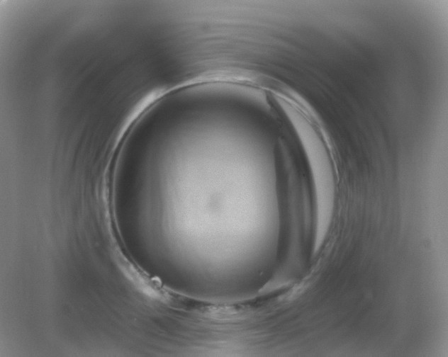 X0000083040907200702021148