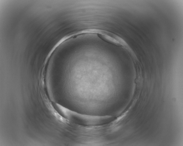 X0000083040908200702021148