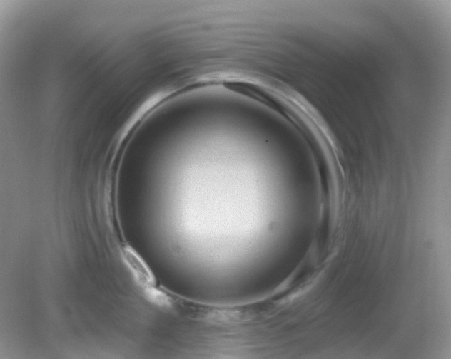 X0000083040909200702021148