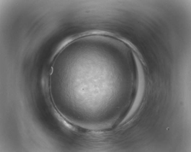 X0000083040910200702021148