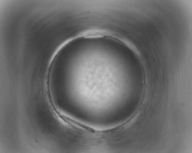 X0000083040912200702021148