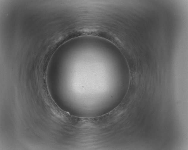 X0000083040913200702021148