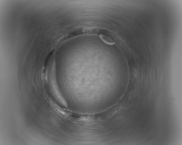 X0000083040914200702021148