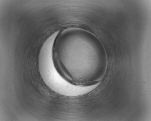 X0000083040916200702021148