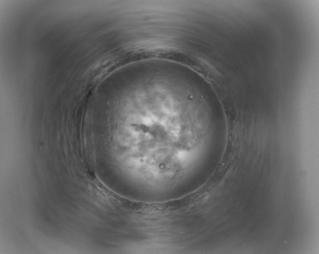 X0000083040917200702021148