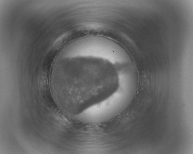 X0000083040918200702021148