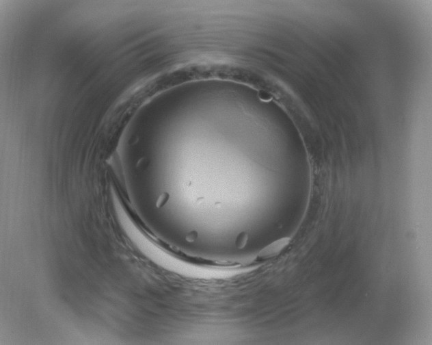 X0000083040919200702021148