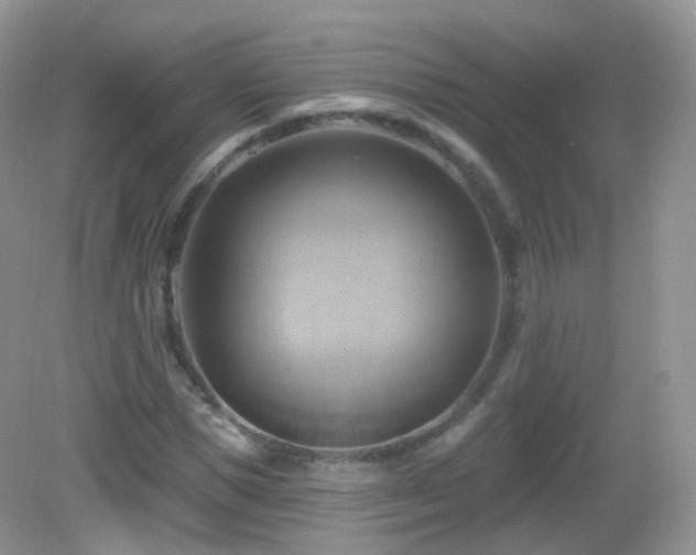 X0000083040921200702021148