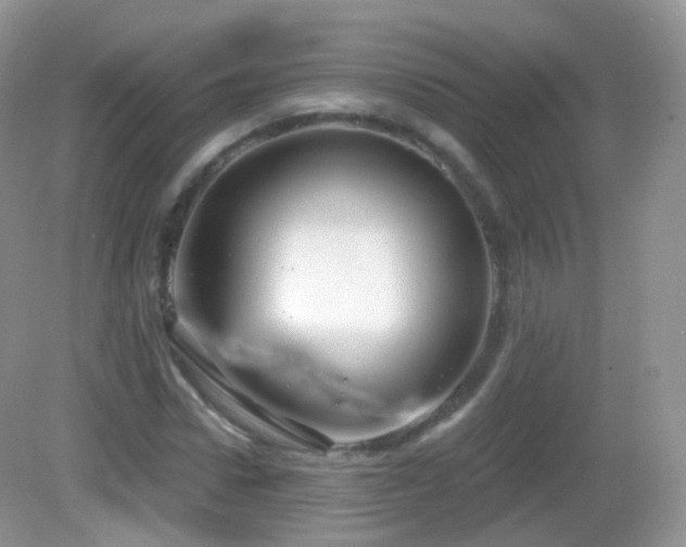 X0000083040922200702021148