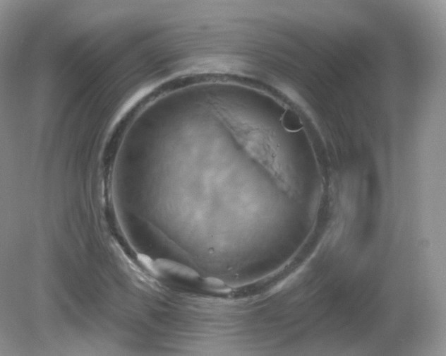 X0000083040925200702021148