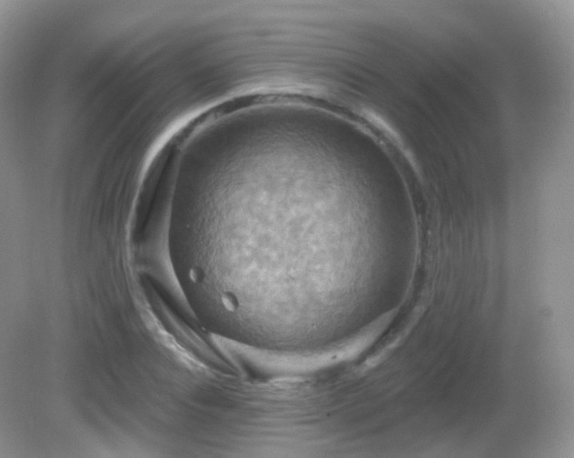 X0000083040928200702021148