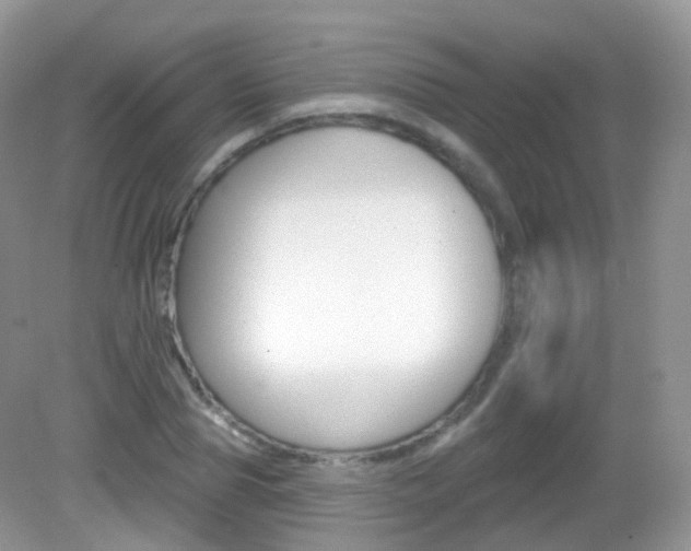 X0000083040929200702021148