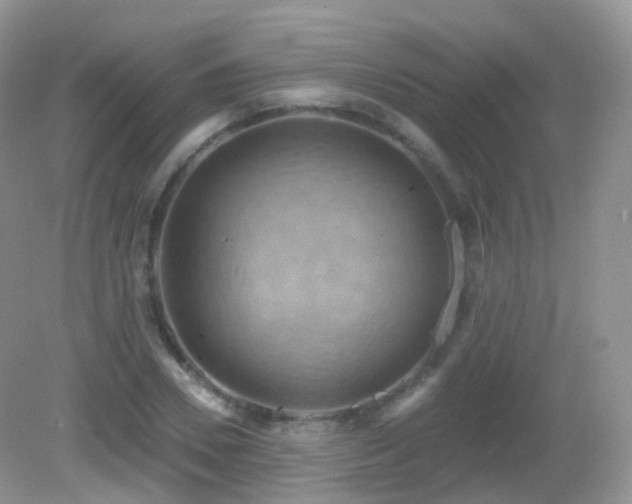 X0000083040930200702021148