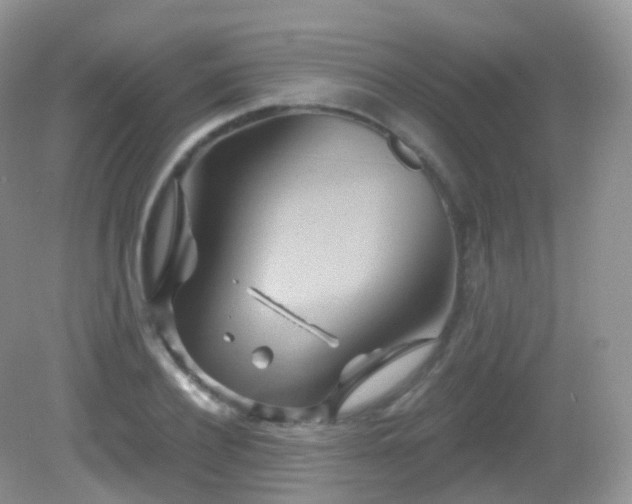 X0000083040932200702021148