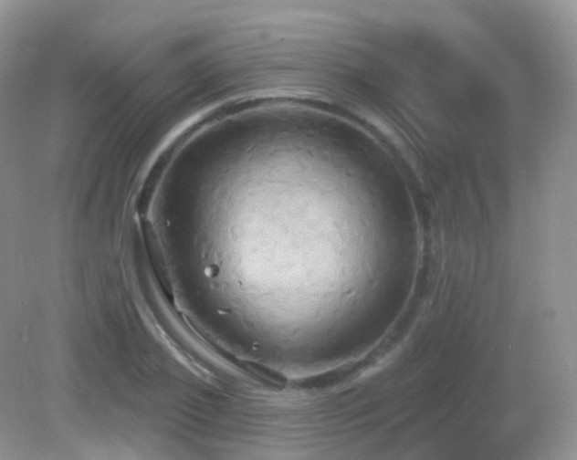 X0000083040933200702021148