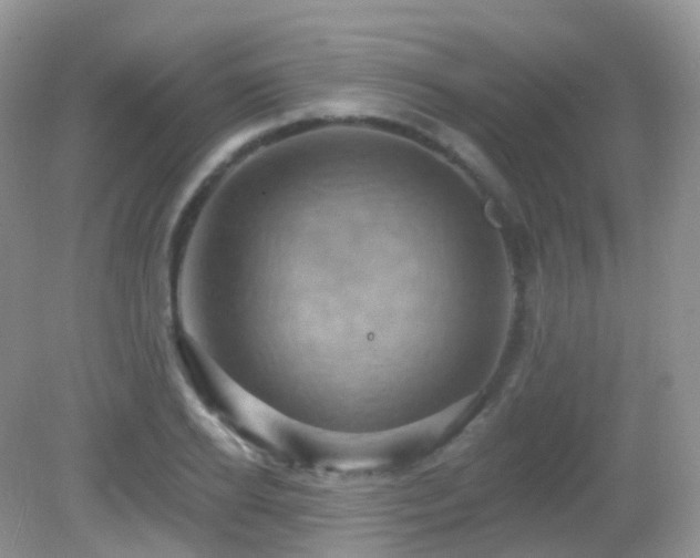 X0000083040934200702021148