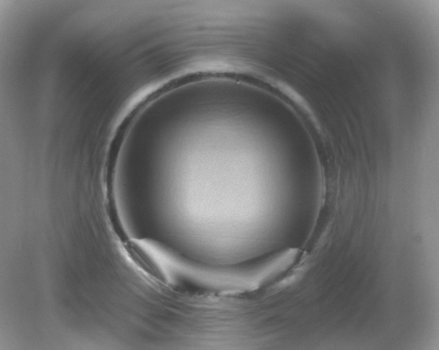 X0000083040935200702021148