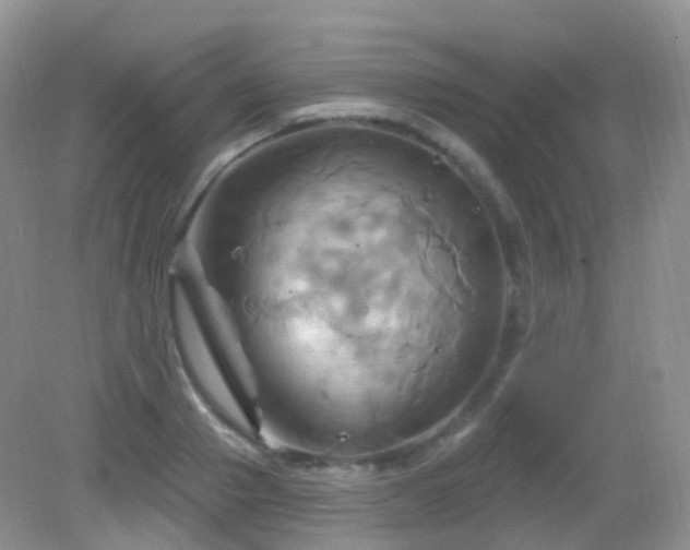 X0000083040937200702021148