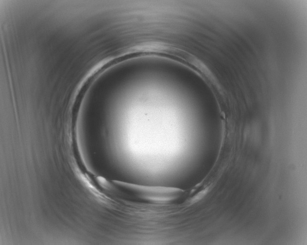 X0000083040939200702021148