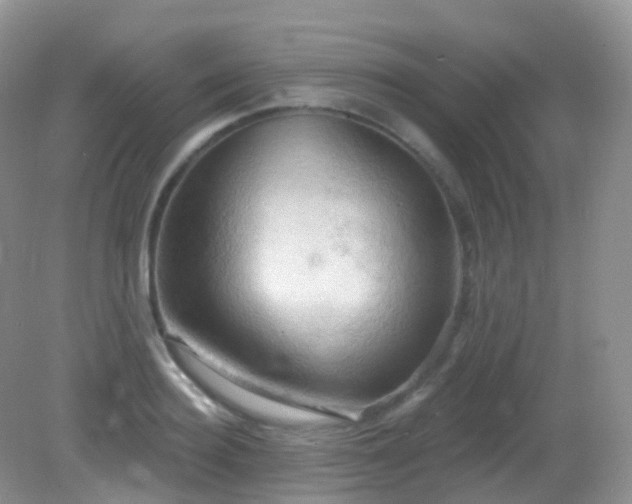 X0000083040940200702021148